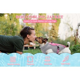 Vivi Bear Pet Cooling Vest Summer Dog Cooling Vest Harness for Medium and Small Dogs Cooling Jacket with D-Ring and Adjustable Straps, Suitable for Running, Hiking, Mountaineering (Pink, L)