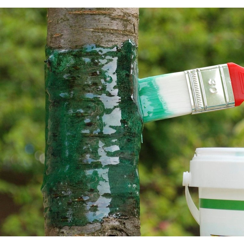 Schacht Caterpillar Glue, Green