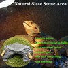 X-Large Bearded Dragon Basking Platform, Lizard, Snake or Reptile Hide