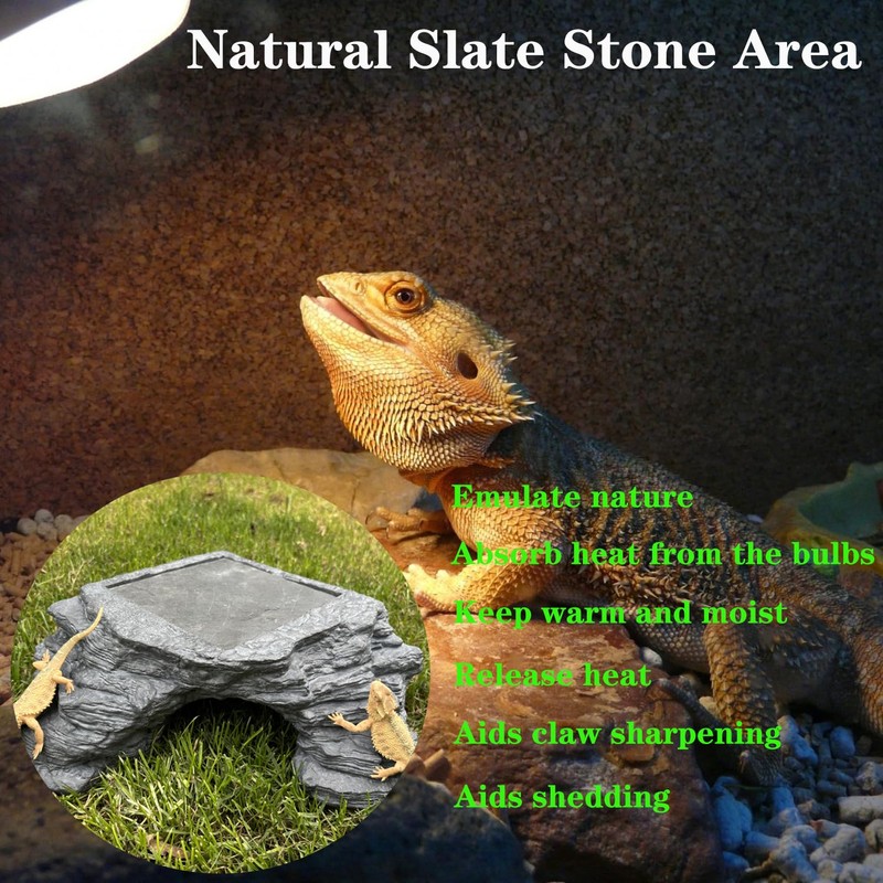X-Large Bearded Dragon Basking Platform, Lizard, Snake or Reptile Hide