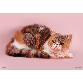 108ピース ジグソーパズル ぶさカワ アリスおすまし ラージピース(26x38cm)