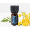 doTERRA Deep Blue Essential Oil Soothing Blend - 5 ml