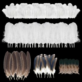 130 Pcs Feathers for Crafts, 5 Styles Craft Feathers, Black White Goose Feathers Plume Decorative Peacock Feathers Hat Feathers Craft Decorative Feather DIY Cowboy Hat Craft Supplies