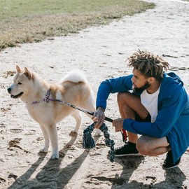 DISCPETSEC Slip Collar for Dog Show Collar Dog Training Collar - 30'' Slip Dog Collar Lightweight Adjustable Waterproof PVC Dog Slip Collar No Pull Dog Collar Purple Dog Collar Dog Slip Lead Collar