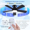 41 inch Ceiling Fans with Lights, Black Flush Mount Ceiling