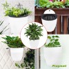 TecTech Plastic Self-Watering Plant Flower Pot Wall Hanging Garden Decoration