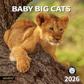 windrio 2026 Wall Calendar, Calendar 2026, July 2025 - December 2026, Wall Calendar Baby Big Cats, 12" x 24" Opened,Full Page Months Thick & Sturdy Paper for Calendar Organizing & Planning