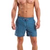 RIPT Men's Quick Dry UV 50 Sun Protection Swimming Trunks,