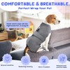 SlowTon Dog Surgery Recovery Suit - Breathable Adjustable Dog Onesie