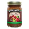 Dillman Farm Apple Salsa, 13oz (Pack of 6)