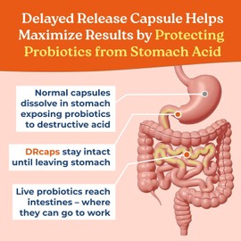 NatureCity True-Life-PB Shelf Stable Blend Prebiotics and Probiotics for Women and Men - Digestive Gut Health Supplements for Women and Men - Dairy Free - (60 Veggie Capsules)