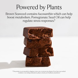 SAKARA Metabolism Super Bar – Healthy, Nutritious Vegan Protein Bars, Clean Ingredients, Low Sugar, Gluten-Free, On-the-Go Snacks with 9g Fiber, Sea Salt, Chocolate, 12g Plant-Based Protein