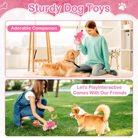 Dog Squeak Toys, Dog Rope Toys for Large Dogs and Medium Aggressive Chewers, Puppy Teething Interactive Dog Toys, Indestructible Dog Toy to Keep Them Busy Best Birthday Gift(Hippo)