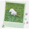 Nature Gnaws 6 Count Home Pet Dogs Safe Gnaws Bully