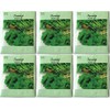 (6 Pack) 400 mg/Package Turnip Seven Top Seeds