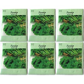 (6 Pack) 400 mg/Package Turnip Seven Top Seeds