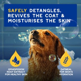 Douxo Skin & Coat SPA Ultra-Safe Oatmeal Dog Conditioner, 250 ml, Safely Detangles, Revives the Fur & Moisturises the Skin, Leaves the Coat Soft, Silky & Radiant, Skin-Friendly Formula