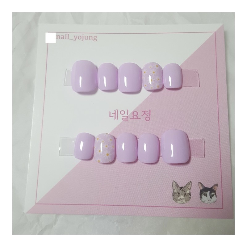 Daisy One daisy flower - Almond / Daisy 데이지 꽃