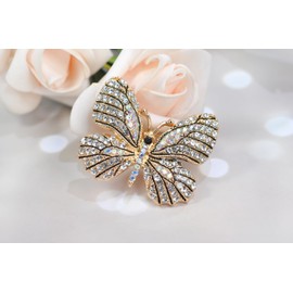 Gyn&Joy Womens Clear Crystal Rhinestone Butterfly Brooch