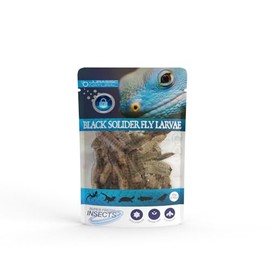 Jurassic Natural Black Soldier Fly Larvae Single Pack 0.70oz