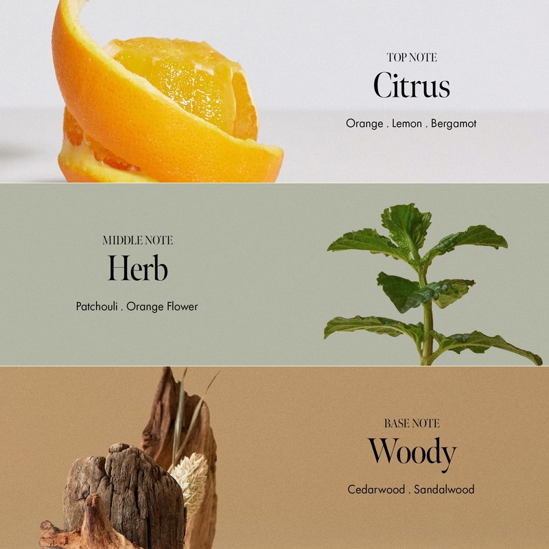 ANILLO Patchouli Garden Damage Hair Essence