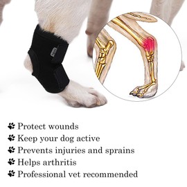 BT Bear Dog Brace Front Rear Short Leg Wrap Sleeve Protects Wounds Pet Brace Heals and Prevent Injuries and Sprain Helps,Large