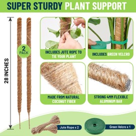 Mega Format Bendable Moss Pole for Plants, Monstera Moss Pole, Moss Poles for Climbing Plants, Plant Poles for Climbing Plants, Plant Pole Indoor, Moss Pole Monstera Plant Support (28 Inch) 2pk