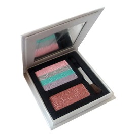 Paleta De Sombras Y Rubor Jafra Eyeshadow Blush Makeup