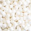 1 lb Bag Campfire Mini Marshmallows – Vanilla Flavored, Gluten