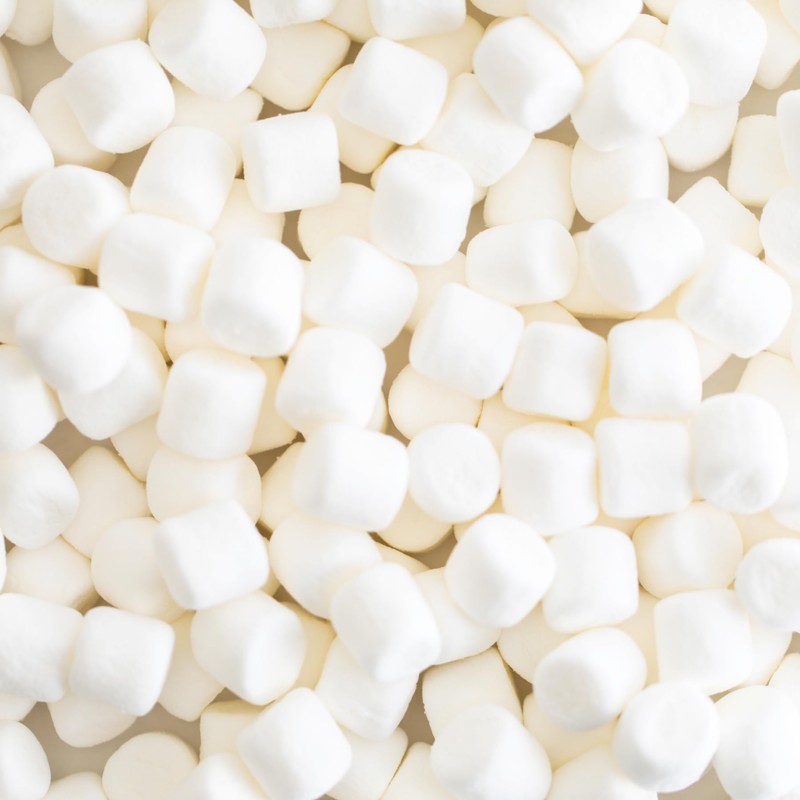 1 lb Bag Campfire Mini Marshmallows – Vanilla Flavored, Gluten