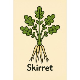 Homemade Skirret (Sium sisarum) – Rare Heirloom Perennial Root Vegetable – 15 Seeds