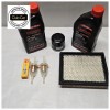 Club Car Genuine Club Car Carryall Tune Kit With KAWASAKI 10W-30 OIL  FE350