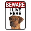 SHAWPRINT BEWARE I LIVE HERE METAL GATE SIGN RHODESIAN RIDGEBACK