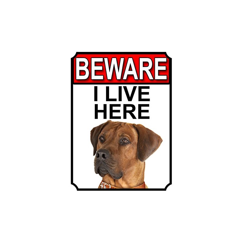 SHAWPRINT BEWARE I LIVE HERE METAL GATE SIGN RHODESIAN RIDGEBACK