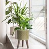 D'vine Dev 8 Inch Modern Geometric Tile Patterned Sleek Planter