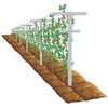 MRGARDEN Raspberry Trellis with Adjustable Arms, Raspberry Stake, Vineyard Trellis