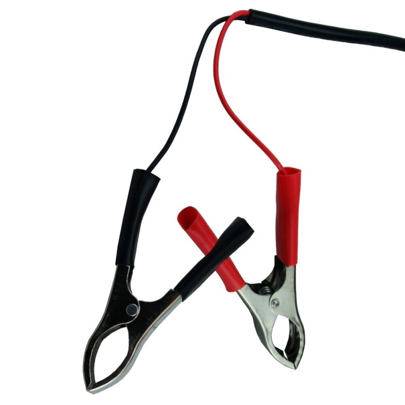 Banshee Sealed Lead Acid 12V Battery Smart Charger for Kid