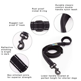 BluePaw- Soft &Thick Dual Handle 6FT Long Dog Leash, Premium Strength Double Padded Handles - Great Control for Medium to Large Sized Dogs (Medium, Black)