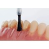 DS TECHNOLOGY USA Finishing & polishing Denture Material TOP NATUR