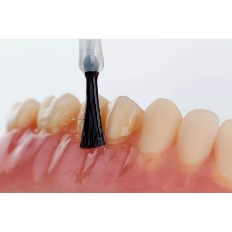 DS TECHNOLOGY USA Finishing & polishing Denture Material TOP NATUR