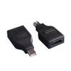 REY Mini DP (DisplayPort) Male to HDMI Female 1080P Adapter