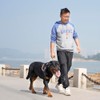 TSPRO Chew Proof Leash - 3.6 FT Stainless Steel Metal
