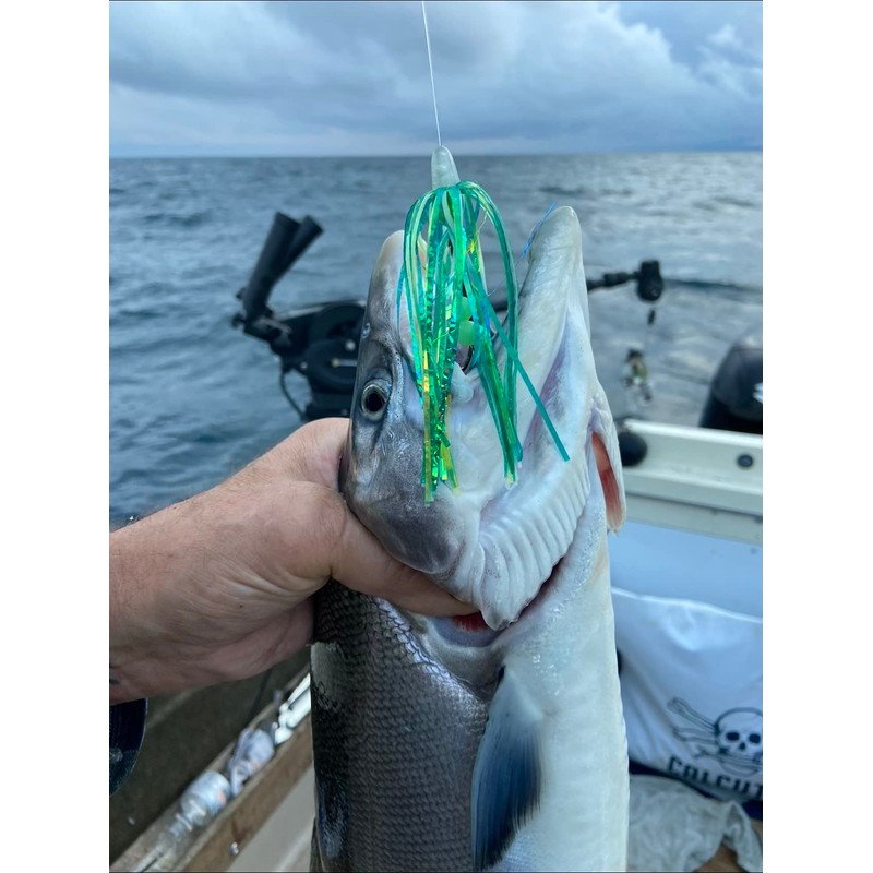 5 Pack 4" Salmon Trolling Fly & Leader Rig UV