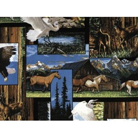 Cheater Quilt Top Material by The Yard,WL15,"America The Beautiful Collage"