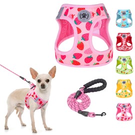 BEAUTYZOO Step in Dog Harness and Leash Set,Reflective Dog Harness No Pull No Choke Puppy Harness for Small Medium Large Dogs Cats,Soft Padded Mesh Vest Harnesses for Girl and Boy Pets, Strawberry S