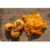 Tomorrow, I Am Climbing on the Persimmon Tree Feminine Wash