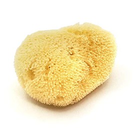 Australian Natural Sea Sponge 2.0 inches (5 cm), Set of 5, Sanitary Makeup No.251