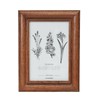 FUJICOLOR Photo Frame, Picture Frame, Wood, 4222L, Large, Brown