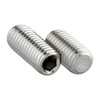 Set Screw with Taper Point and Hexagon Socket (ISK) in