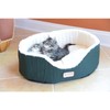 Maykoosh Art Nouveau Allure Oval Pet Bed - 16.5" L